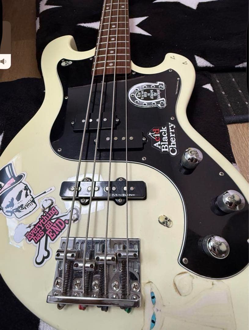 EDWARDS SHUSE ベース E-UT Acid Black Cherry