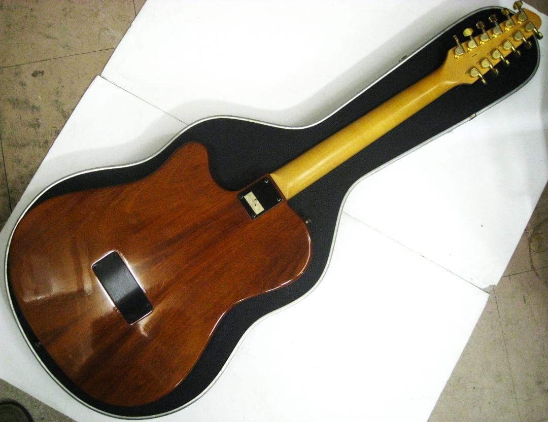 タ*ロ様 美品95年ヴィンテージオールドエレアコ ゴダンGodin12弦L.R.