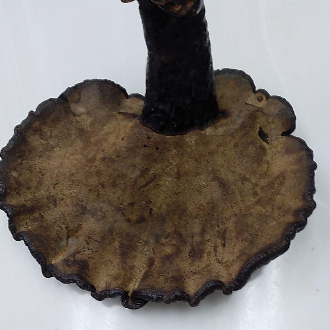 黒霊芝 中国産