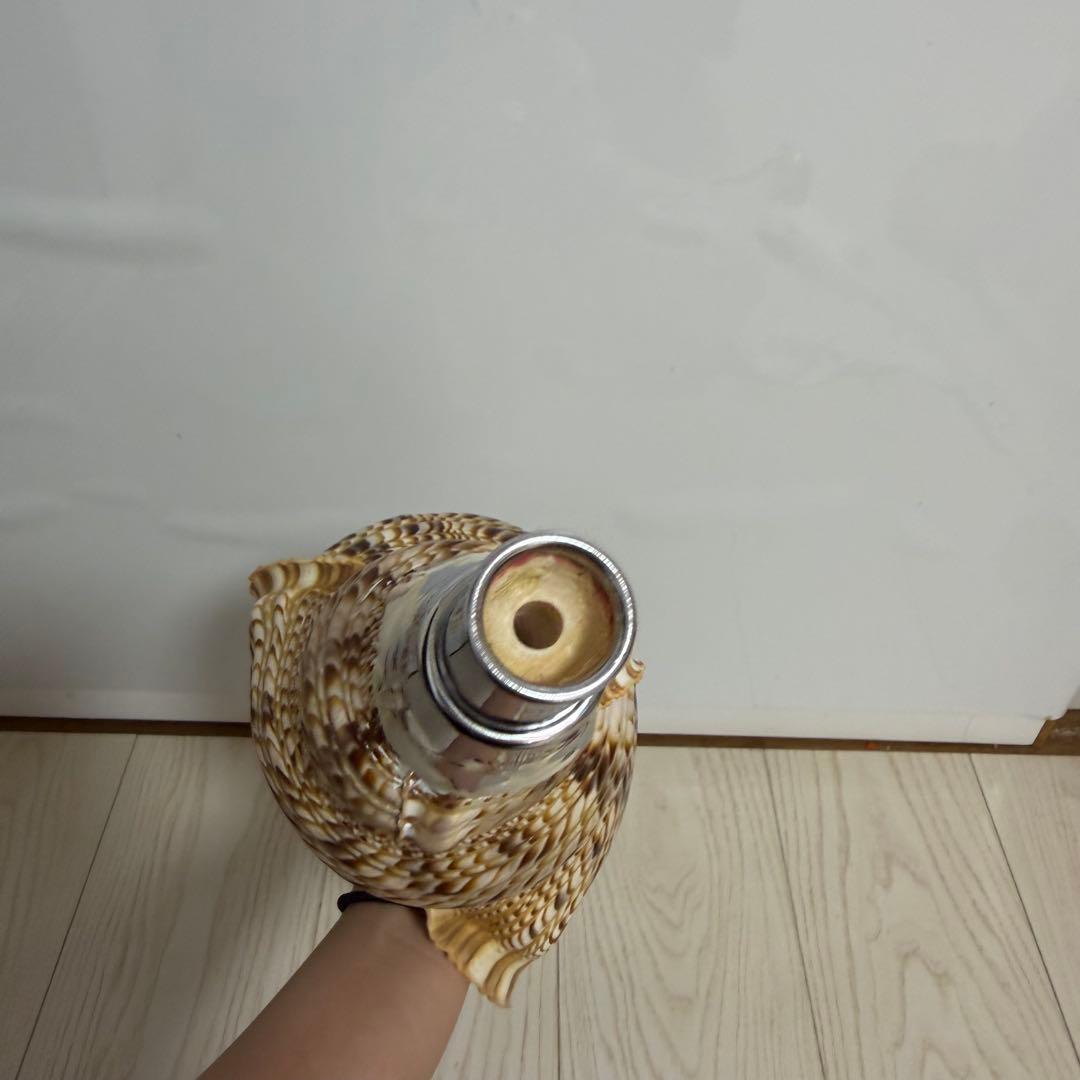 値下げしました！ 特大法螺貝‼️ ほら貝 ホラガイ 41cm
