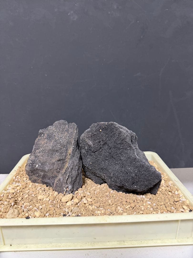 ⑧ADA山水石 組合せ！オススメ！