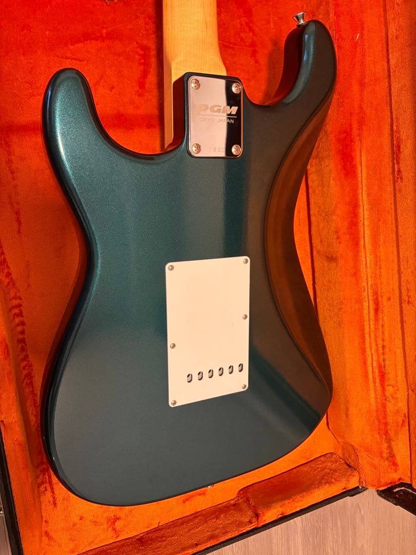 ギター K.Nyui Custom Guitars / KNST