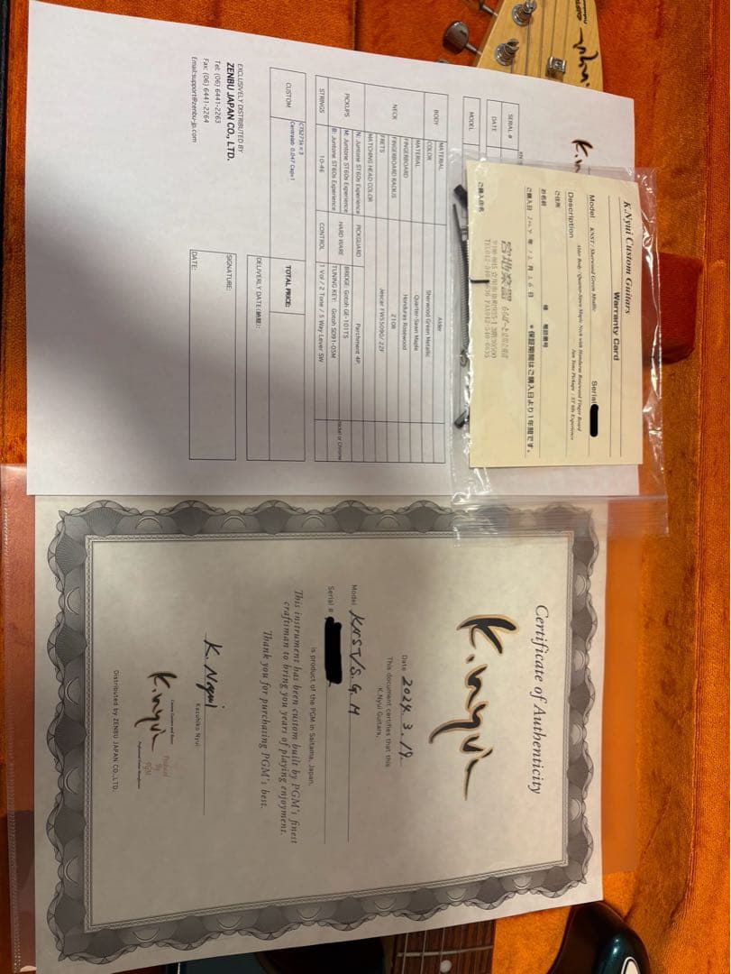 ギター K.Nyui Custom Guitars / KNST