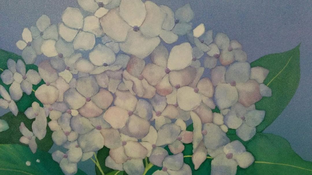 日本画 / 鎌田 義裕 / 【紫陽花】/ 屏風
