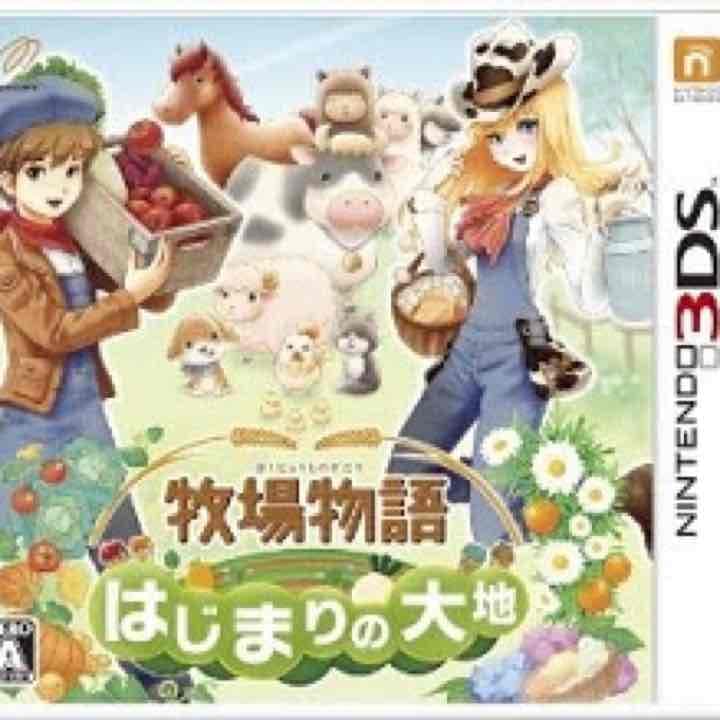 本体 美品