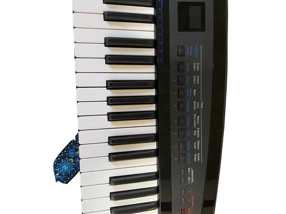 Roland AX-Synth ショルダーキーボード　ソフトケース付属