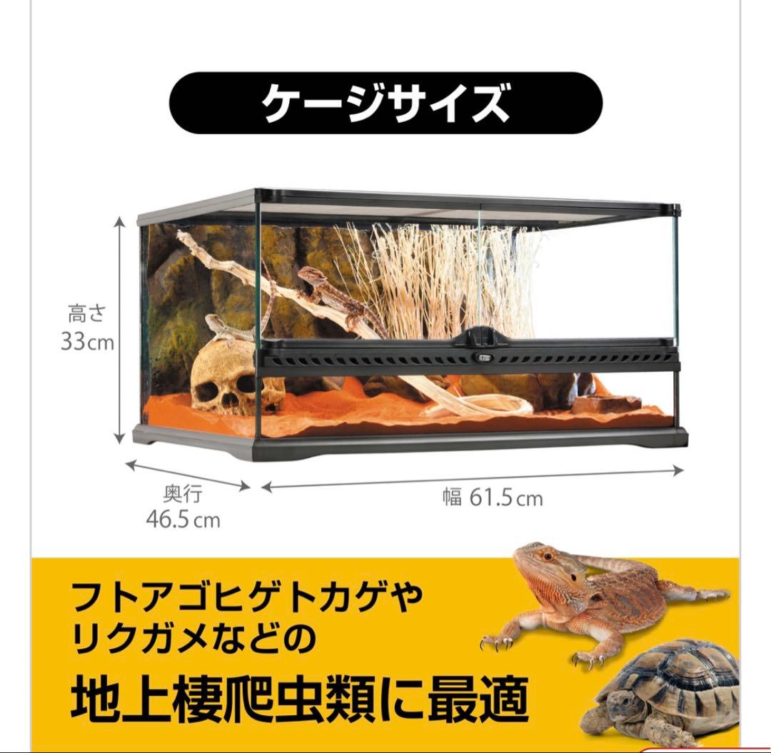 GLASS TERRARIUM 6030 飼育セット