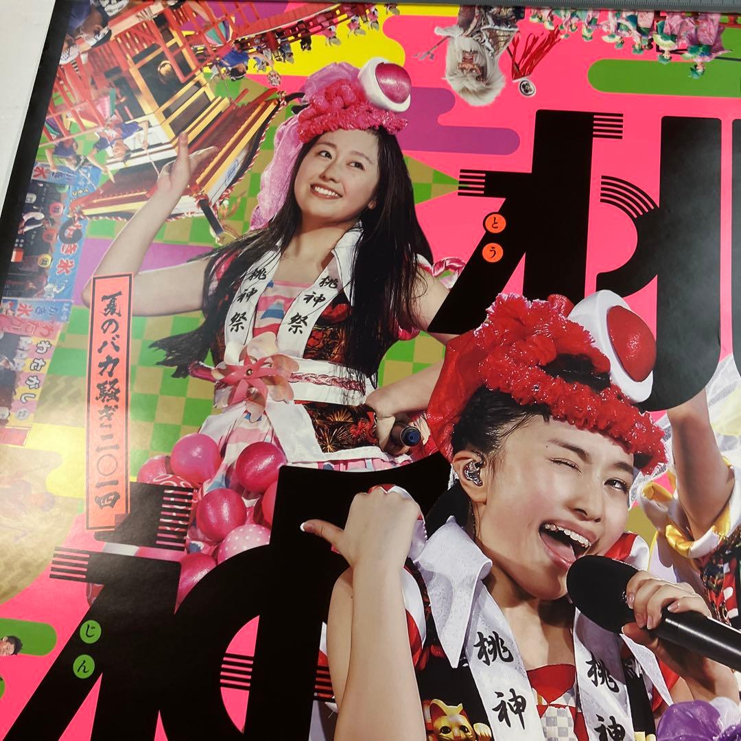 ももクロ夏のバカ騒ぎ2014 ~桃神祭~　店頭告知 B2ポスター