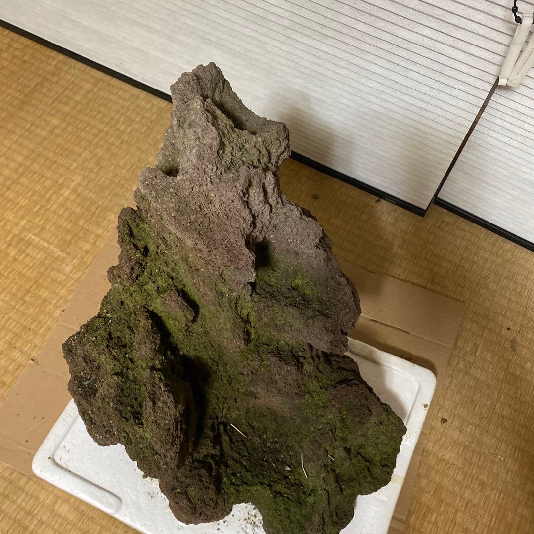 【美形】軽石　岩石　水槽　装飾 アクアリウム　NO4