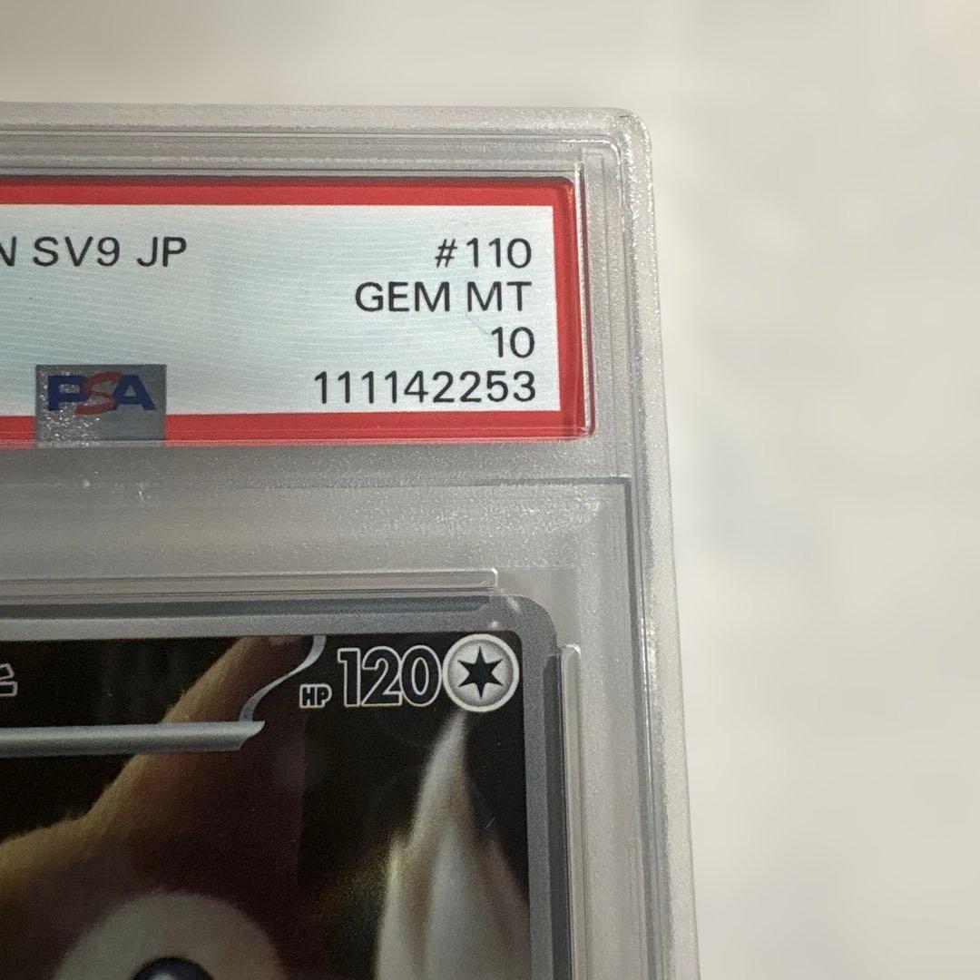 AR オオタチ PSA10