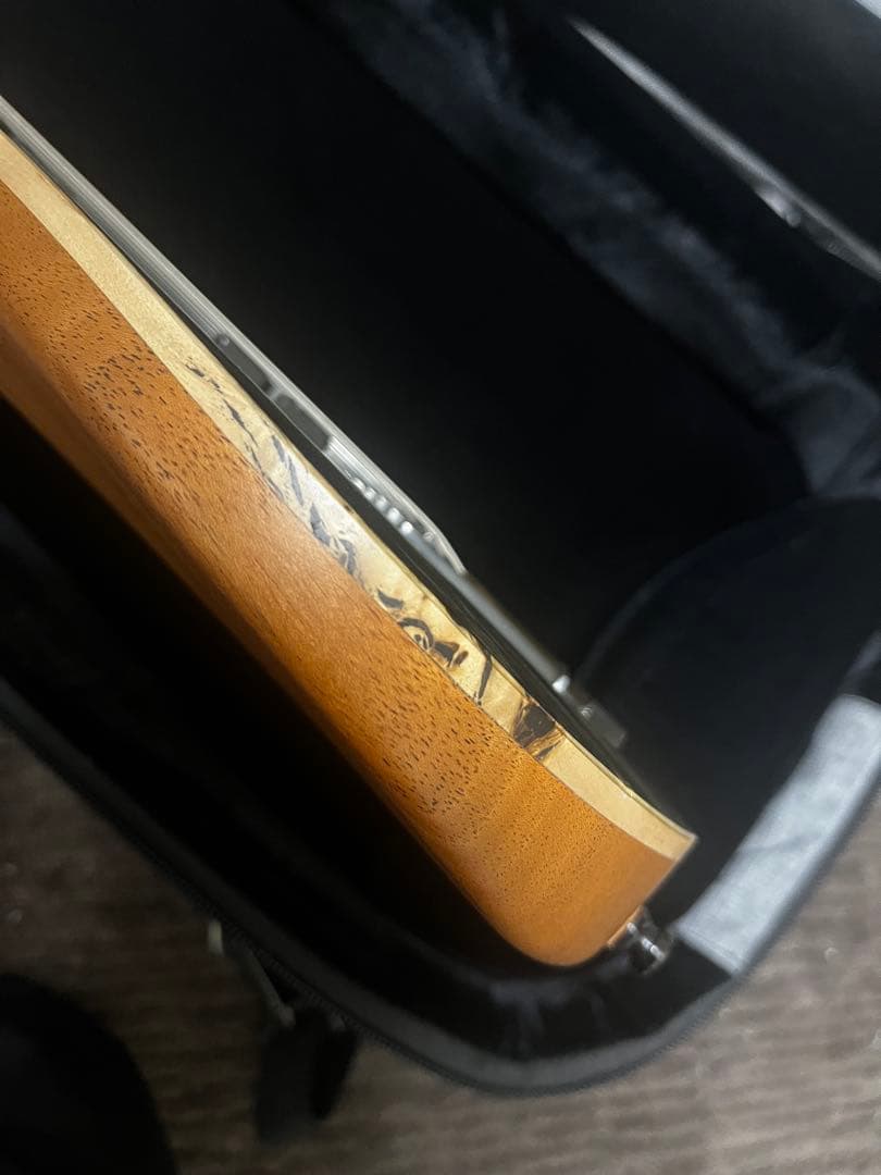 Mayones Hydra Elite 7 VF Trans Black 7弦