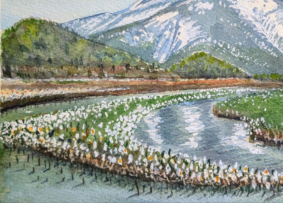 タモ 材フレーム 額縁入り《 尾瀬ヶ原より至仏山を望む 》