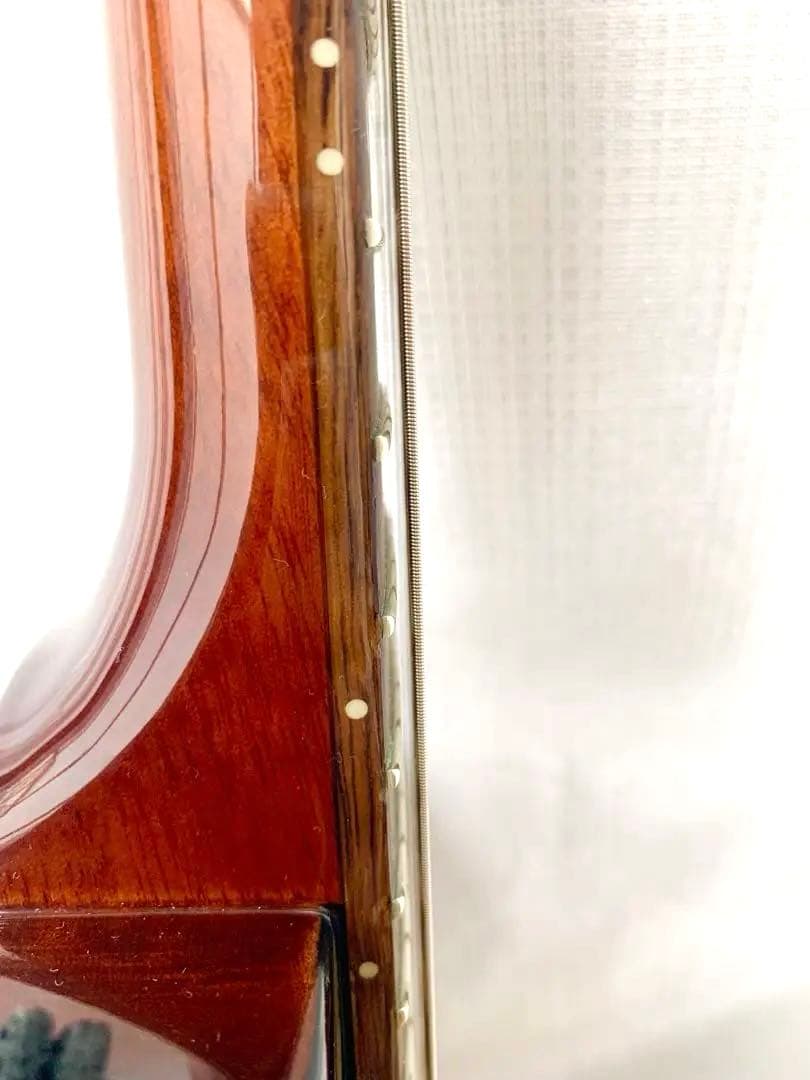 Epiphone Les Paul Junior レスポールジュニア