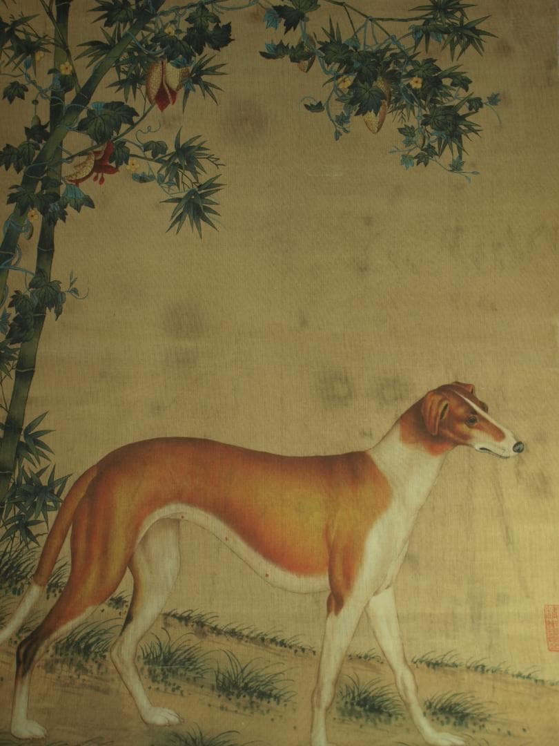 【骨董掛け軸】犬図 中国郎世寧　 清時代 肉筆保證 唐物 BD545C11-4