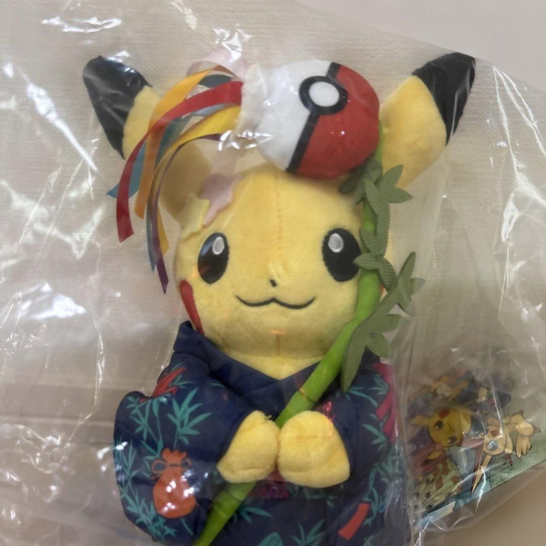 キャプテンピカチュウとご当事ピカチュウセット