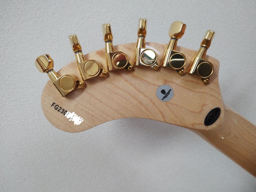 新品未使用 FERNANDES ZO-3 hide PAINT-ZO24