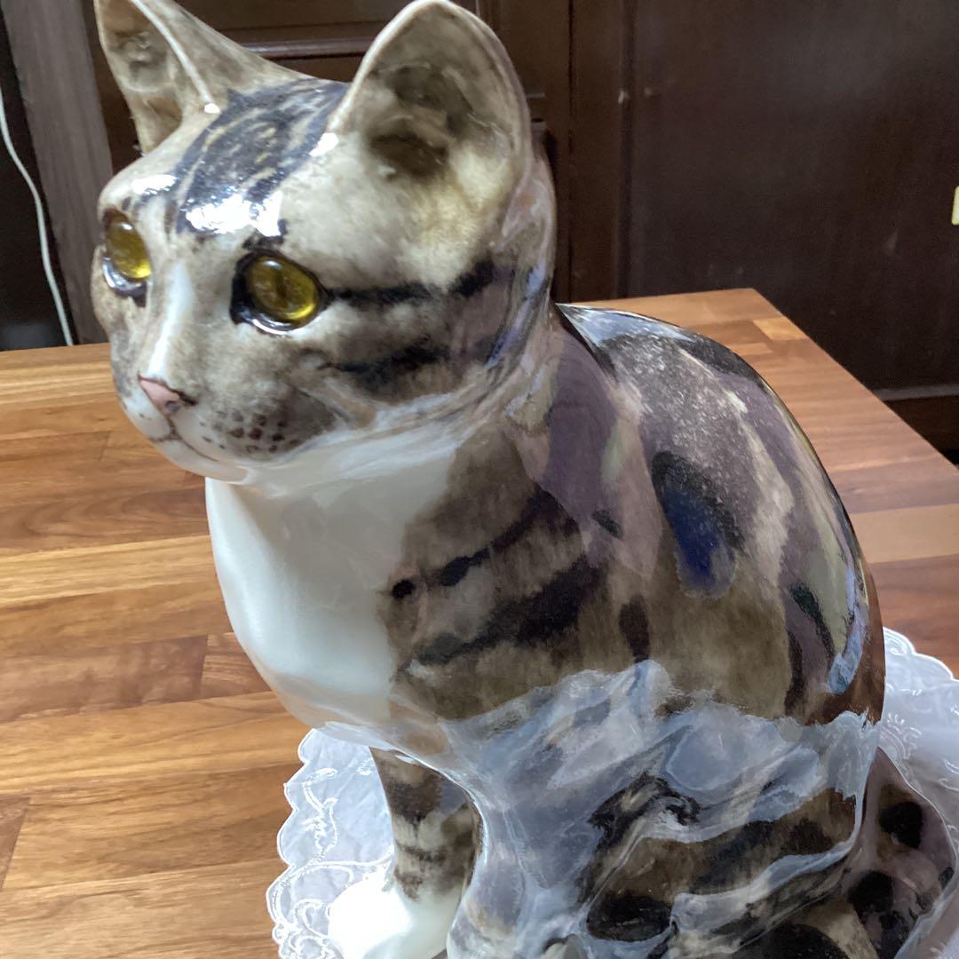 ウィンスタンレーキャット、ケンジントンキャットサイズ6の大きな猫
