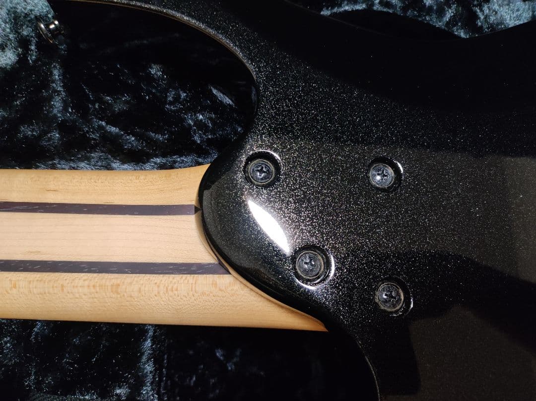 林*様 Ibanez RG2228GK Prestige ケース付 逆輸入