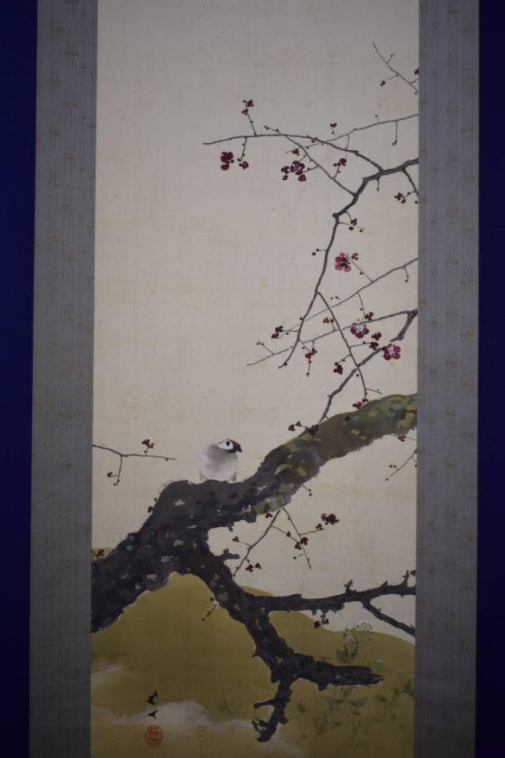 真作/菊池芳文/紅梅に雀図/紅梅に小禽図/桐共箱二重箱付/布袋屋掛軸HI-250