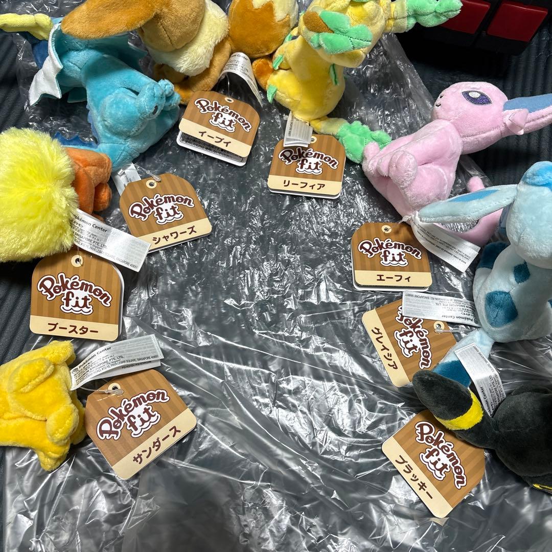 ポケモンfit ブイズ　まとめ売り