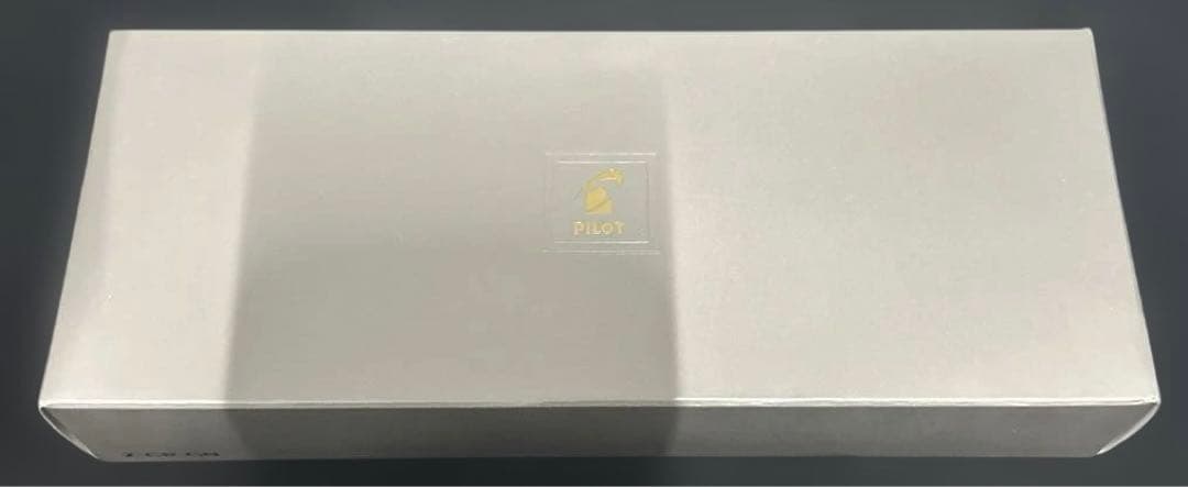 PILOT 万年筆 マンネンヒツ キャップレス S M シルバー
