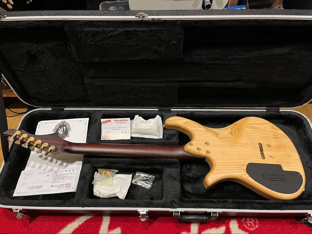 y*i様 Overload Custom Guitars Rea6 Trans