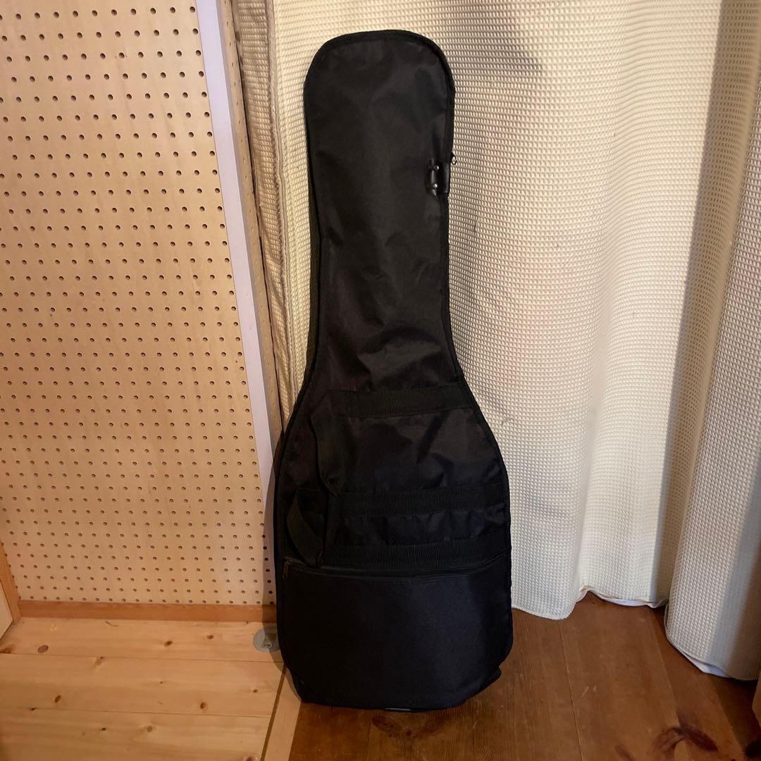 Gypsy Rose エレキギター レスポール　ブラック