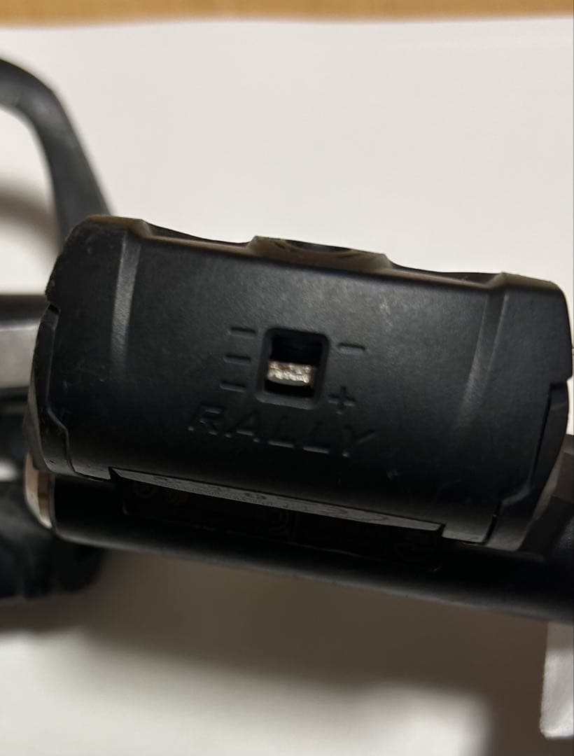 GARMINパワーメーター RALLY RS200