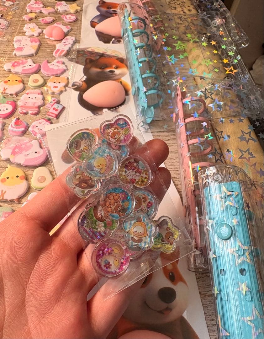 シール帳　完成品　44枚　20種以上　おまけ多数平成レトロ　ボンボンドロップ