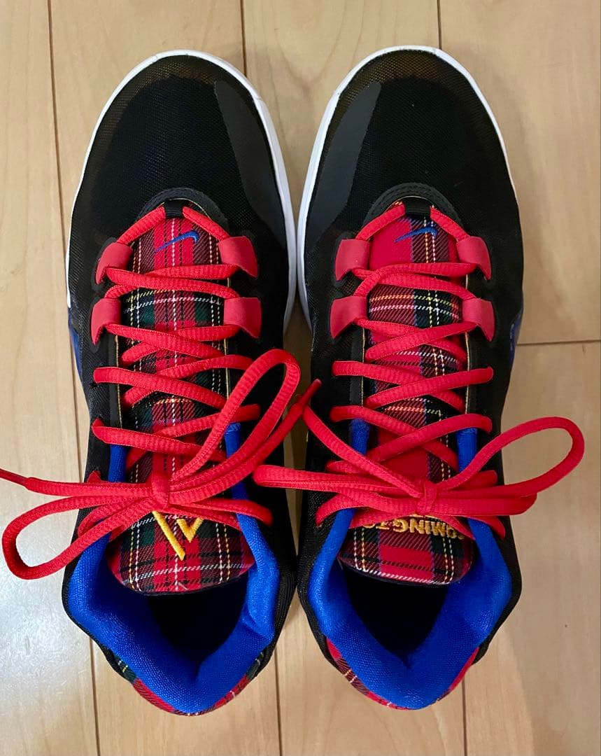 NIKE、ズームフリーク1、27センチ