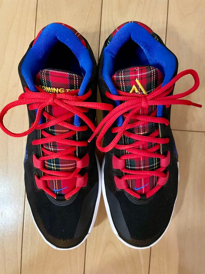 NIKE、ズームフリーク1、27センチ