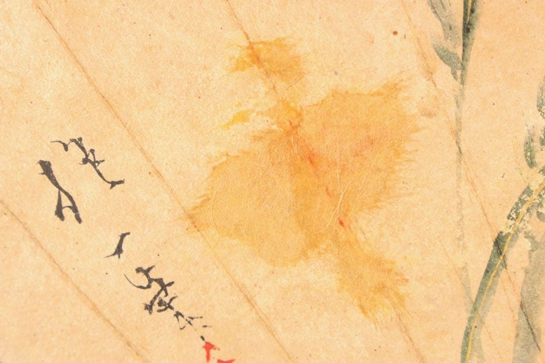 No5265 掛軸　酒井抱一　稲穂図　扇面　紙本着色　陶器軸先　合箱　送料無料