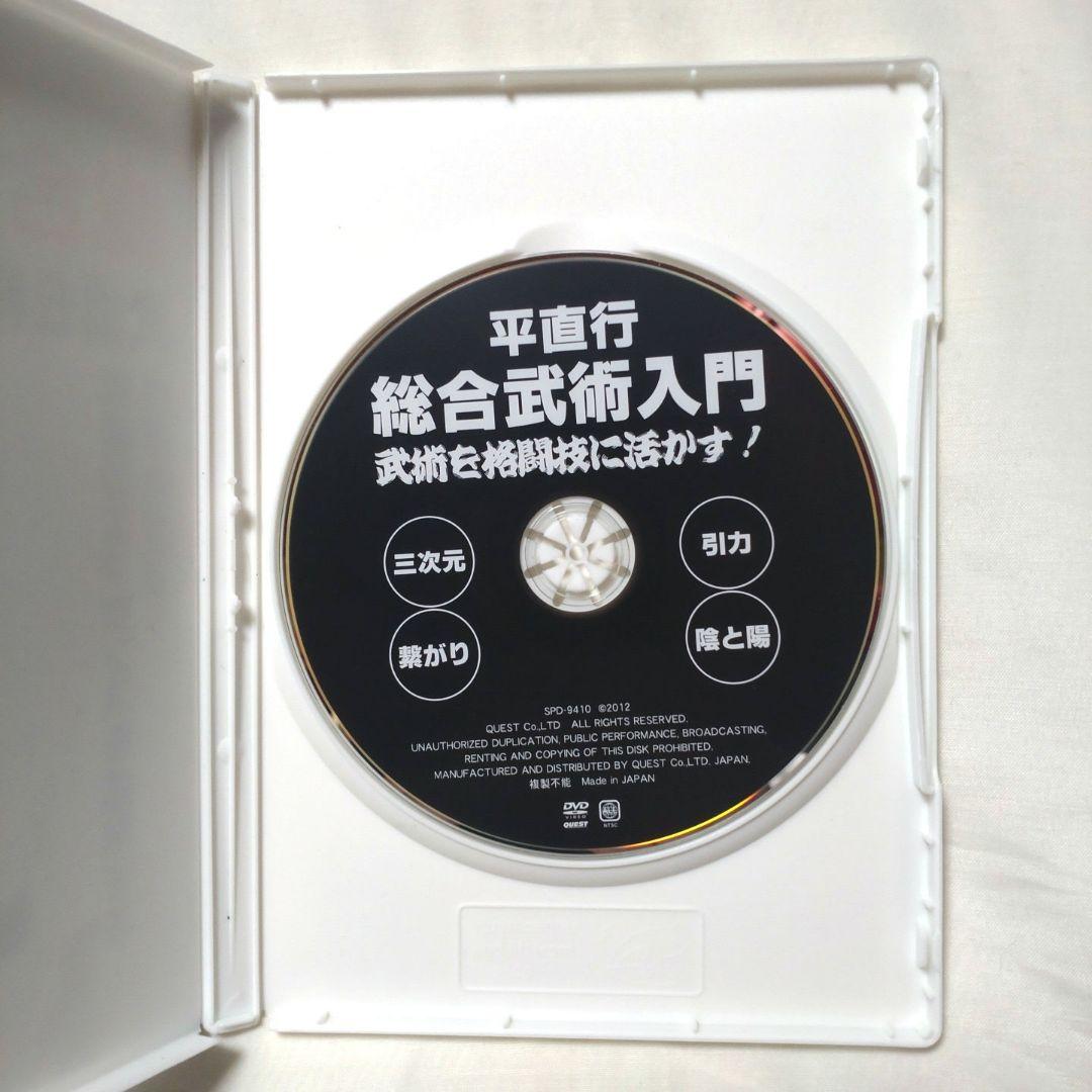 貴重❗❗DVD 平直行 総合武術入門 武術を格闘