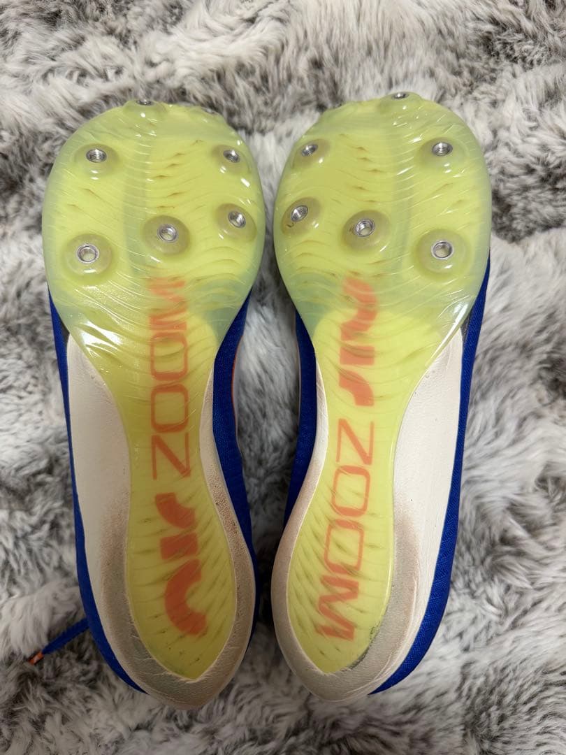 Nike Air Zoom Max Fly 1 （25.5cm）