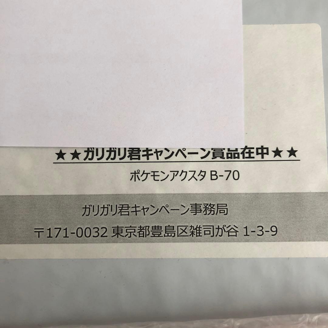 ポケモン ガリガリ君 アクリルスタンド ダンデ&リザードン 当選品 限定品 新品