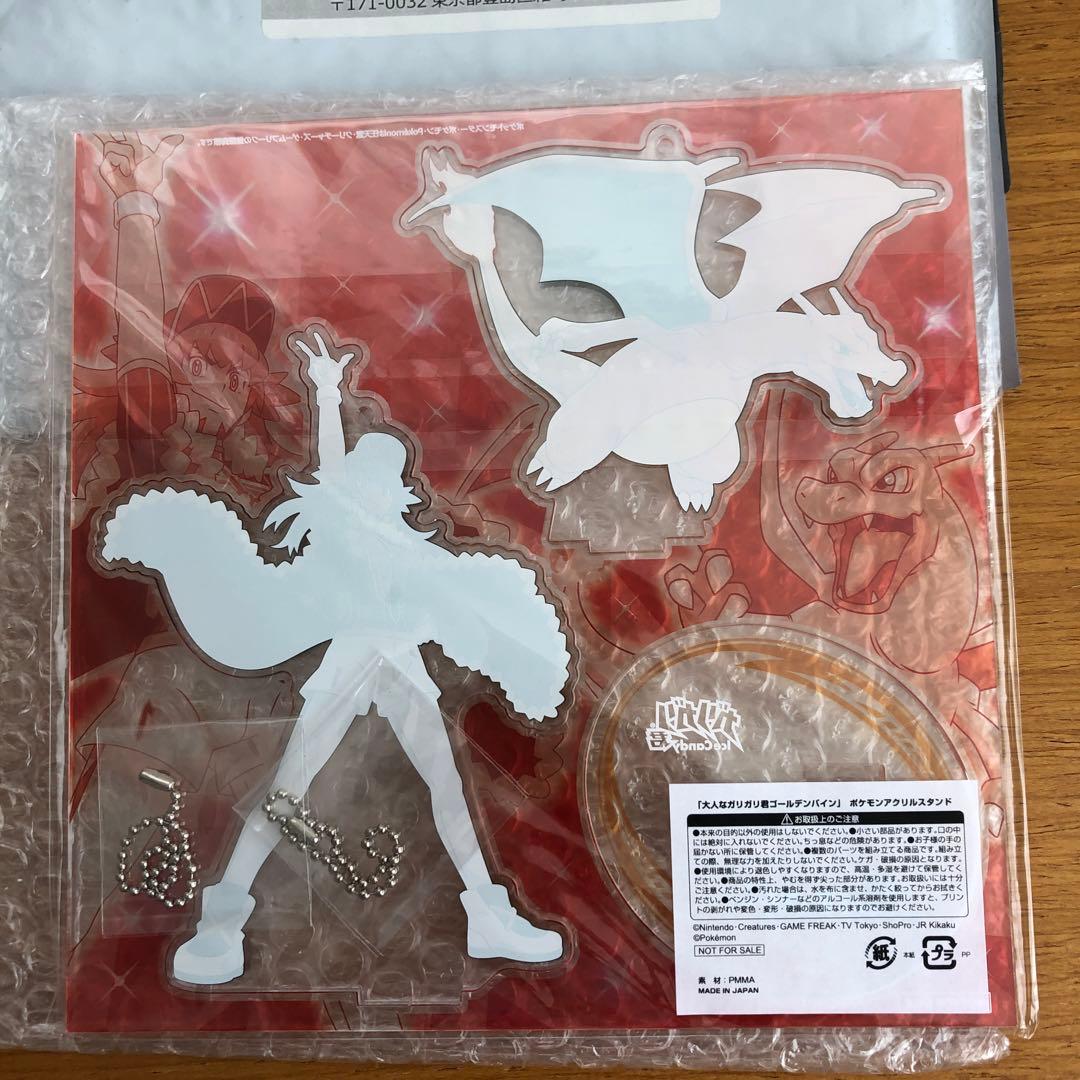 ポケモン ガリガリ君 アクリルスタンド ダンデ&リザードン 当選品 限定品 新品