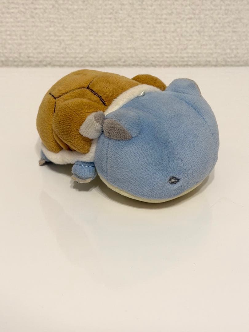 ポケモン　カメックス　マジパン　ポケモンセンター