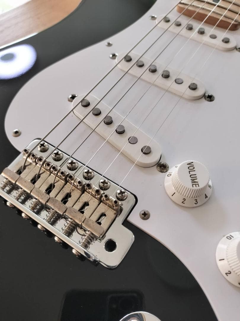 FGN フジゲン J-Standard ST-STD5M 純正ギグバッグ付