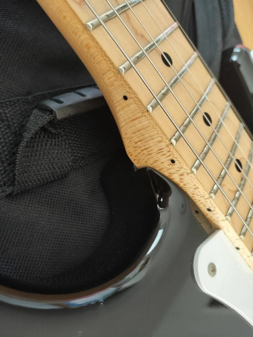 FGN フジゲン J-Standard ST-STD5M 純正ギグバッグ付