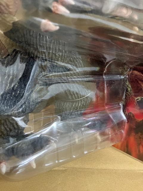 ★ポピー 東宝怪獣総進撃 バンダイミュージアム限定 ゴジラ1962 キンゴジ★