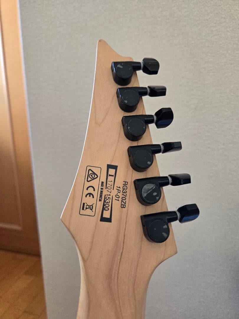 Ibanezアイバニーズ RG370ZB Weathered Black