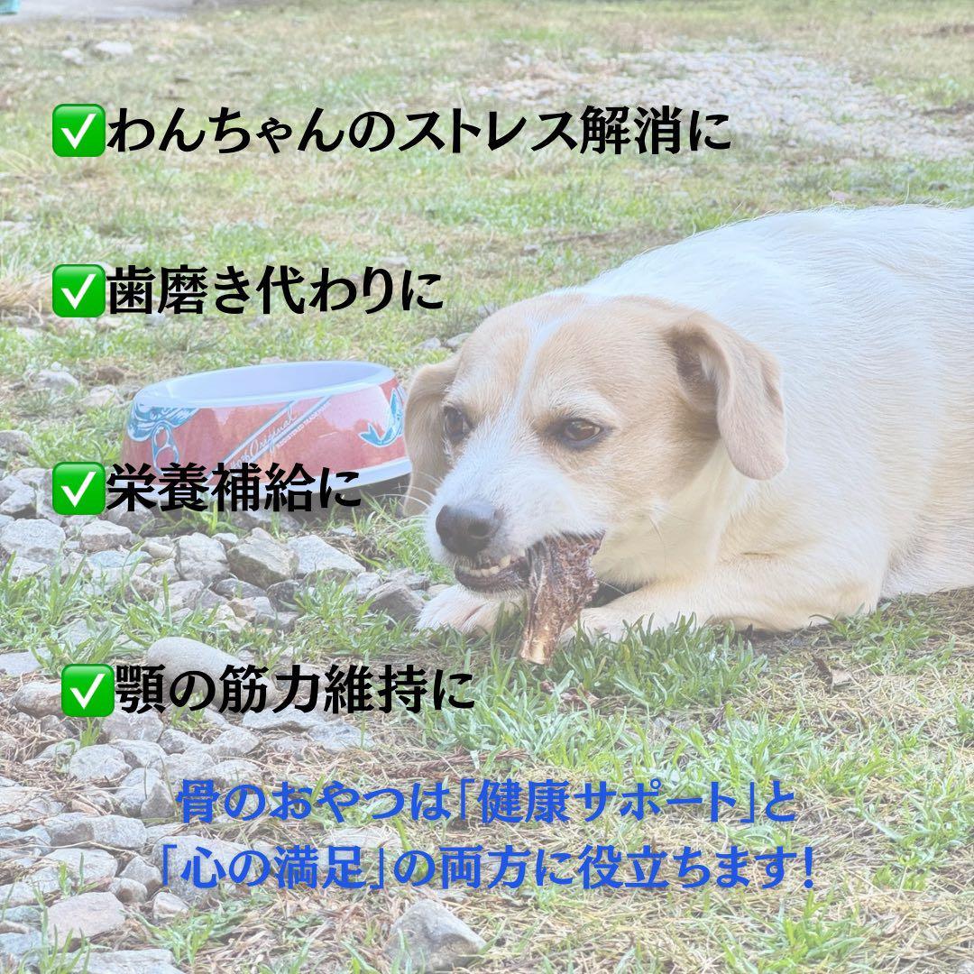 送料込み‼️鹿あばらジャーキー1kg（100g×10袋）中小型犬向けサイズ