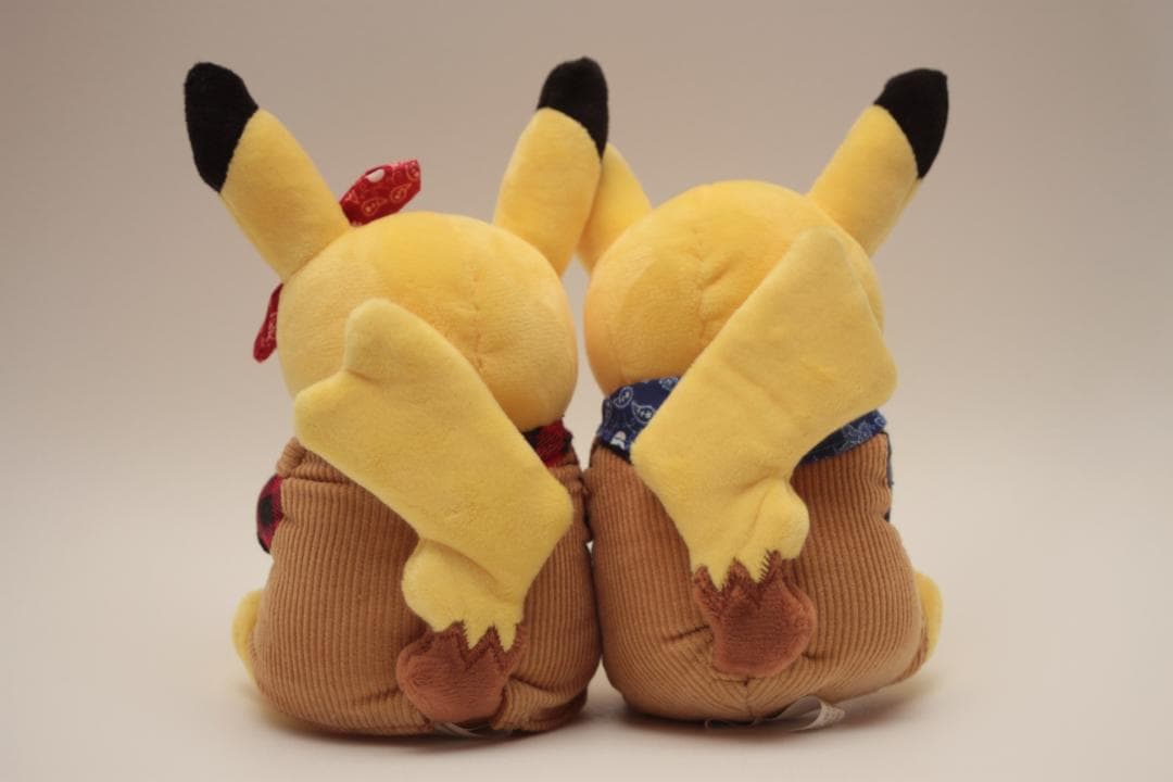 限定品 マンスリーペアピカチュウ ぬいぐるみ モモンのみ
