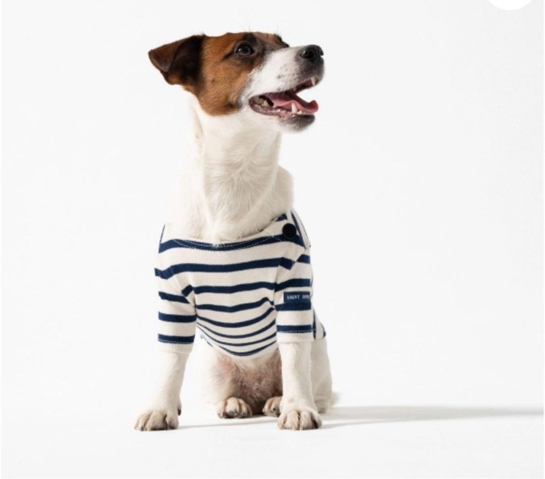 【新品未使用／日本未入荷】セントジェームス 犬服 XLサイズ　フランスパビリオン