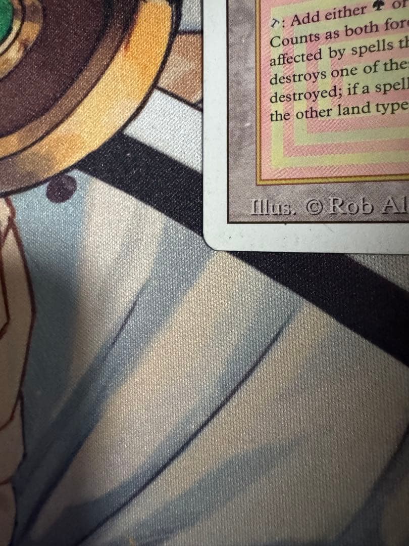 MTG　Taiga　3ED英　1枚