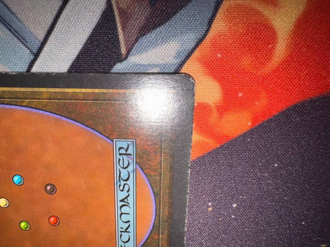 MTG　Taiga　3ED英　1枚