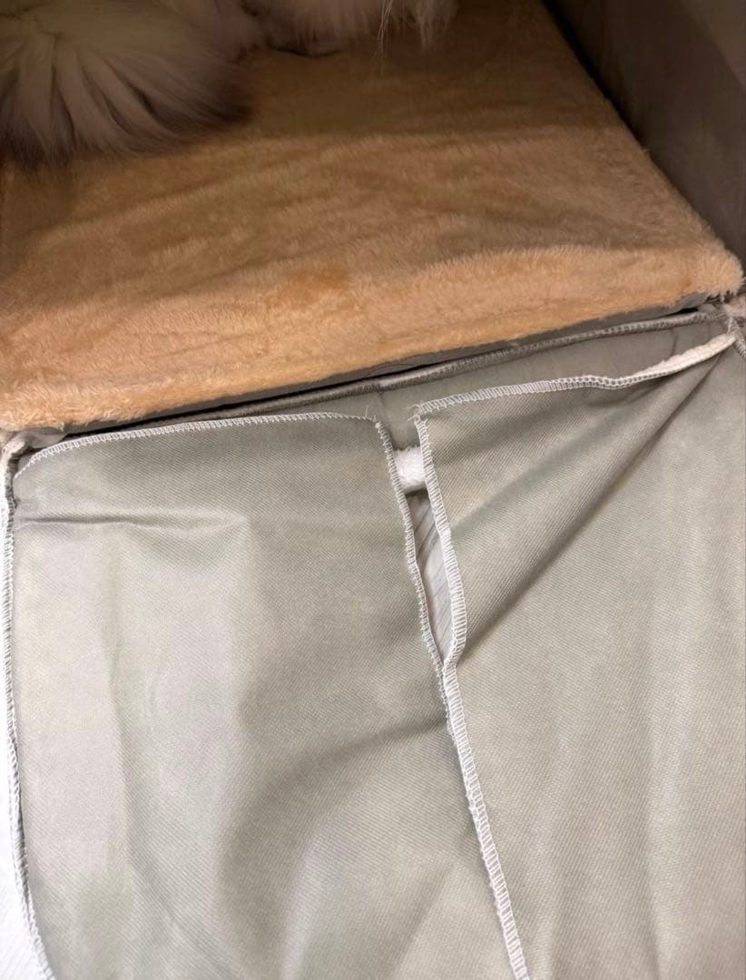 トンネル型猫用ハウス クリーム色