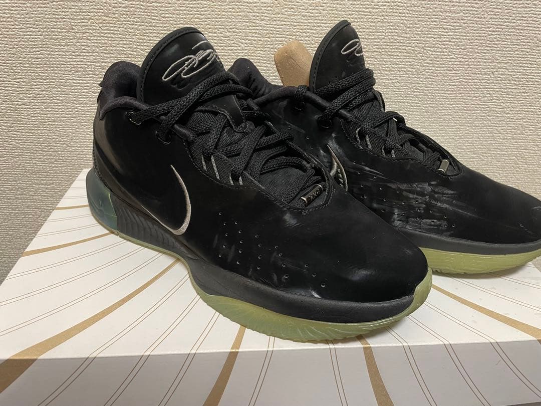 Nike レブロン 21 EP FB2236-001 タイタン