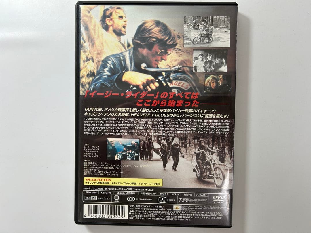 洋画・外国映画 THE WILD ANGELS DVD