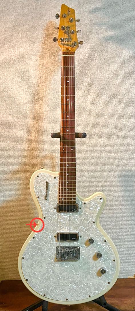 ギター Godin Radiator